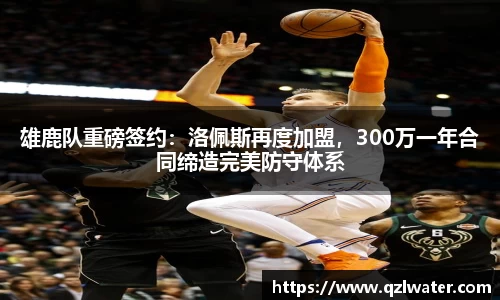 VSport官网入口vsport体育在线官网
