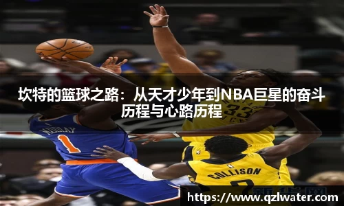 VSport官网入口vsport体育在线官网