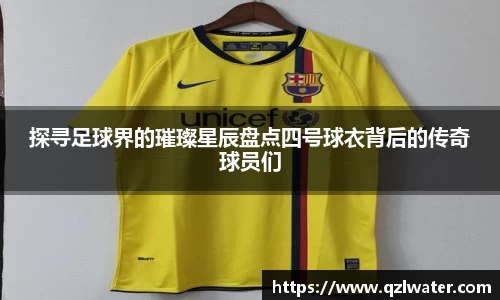 VSport官网入口vsport体育在线官网