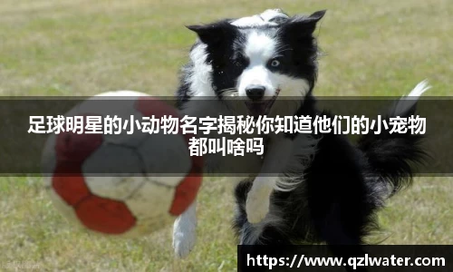 足球明星的小动物名字揭秘你知道他们的小宠物都叫啥吗